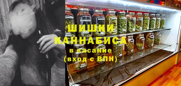 сатива Баксан