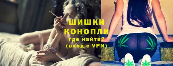 сатива Баксан