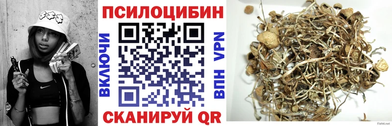 Псилоцибиновые грибы Psilocybine cubensis  Липки 